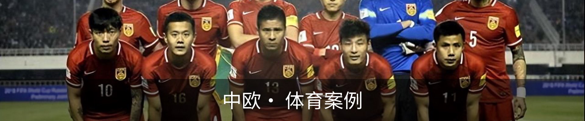 中欧· 体育案例